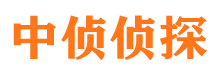 天桥捉小三公司